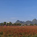 桂林旅游 缩略图 8