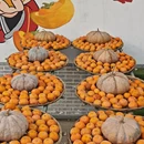 桂林旅游 缩略图 4