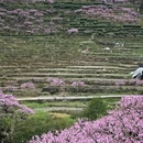 宁德旅游 缩略图 3