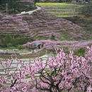 宁德旅游 缩略图 1