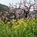 宁德旅游 缩略图 5
