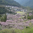 宁德旅游 缩略图 8