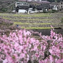 宁德旅游 缩略图 4
