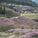 宁德旅游 缩略图 7