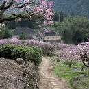 宁德旅游 缩略图 9