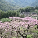 宁德旅游 缩略图 12