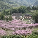 宁德旅游 缩略图 10