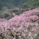 宁德旅游 缩略图 13
