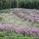 宁德旅游 缩略图 11