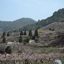 宁德旅游 缩略图 15