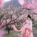 桂林旅游 缩略图 2