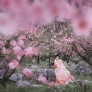 桂林旅游 缩略图 8