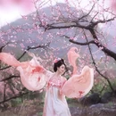 桂林旅游 缩略图 4