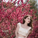 桂林旅游 缩略图 9