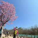 桂林旅游 缩略图 4