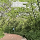 桂林旅游 缩略图 8