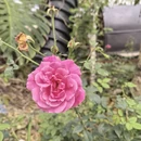 桂林旅游 缩略图 11