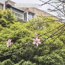 桂林旅游 缩略图 4