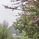 桂林旅游 缩略图 13