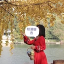 桂林旅游 缩略图 8