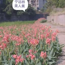 桂林旅游 缩略图 5