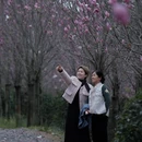 贺州旅游 缩略图 3