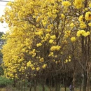 桂林旅游 缩略图 7