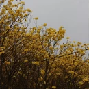 桂林旅游 缩略图 8