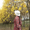 桂林旅游 缩略图 10