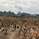 桂林旅游 缩略图 3