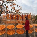 桂林旅游 缩略图 1
