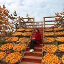 桂林旅游 缩略图 2