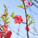 桂林旅游 缩略图 3