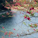 桂林旅游 缩略图 2