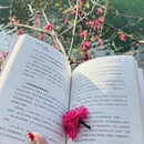 桂林旅游 缩略图 7