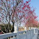 桂林旅游 缩略图 4