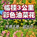 桂林旅游 缩略图 1