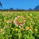 桂林旅游 缩略图 5