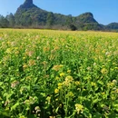 桂林旅游 缩略图 4