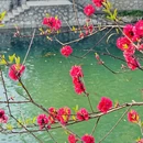桂林旅游 缩略图 10
