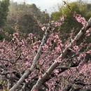 河源旅游 缩略图 4