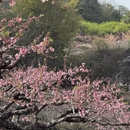河源旅游 缩略图 1