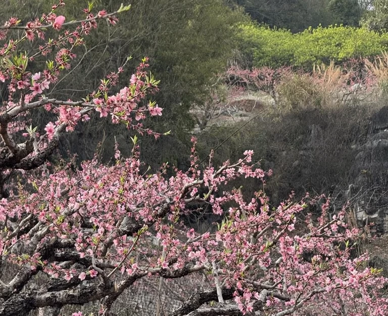 河源旅游 1