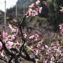 河源旅游 缩略图 5