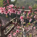 河源旅游 缩略图 2
