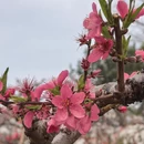 河源旅游 缩略图 6