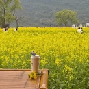 桂林旅游 缩略图 4