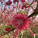桂林旅游 缩略图 2