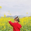 贺州旅游 缩略图 3