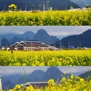 贺州旅游 缩略图 4